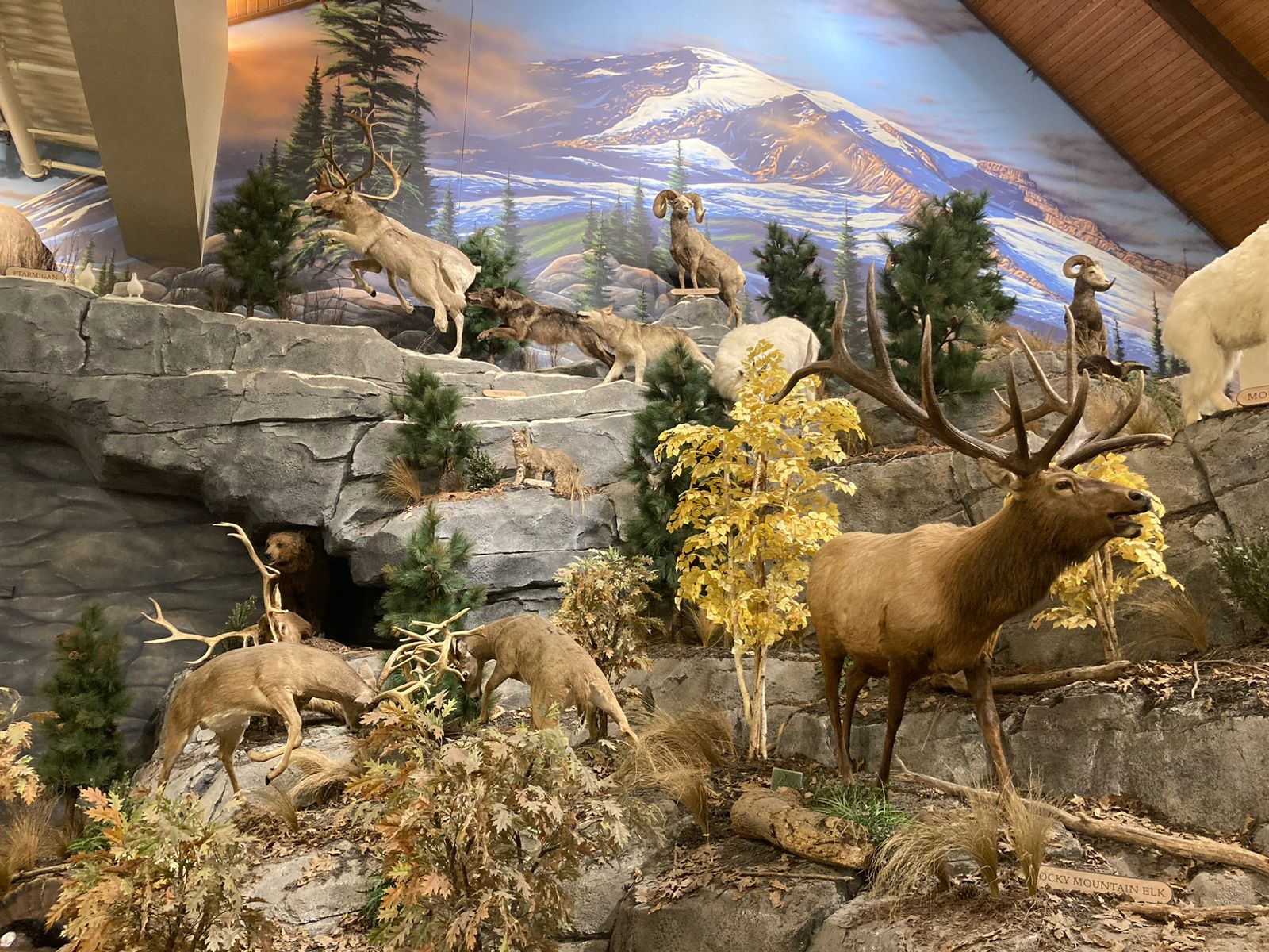 How Brand Storytelling in New England Can Make Your Business Stand Out: Lessons from Cabela’simage